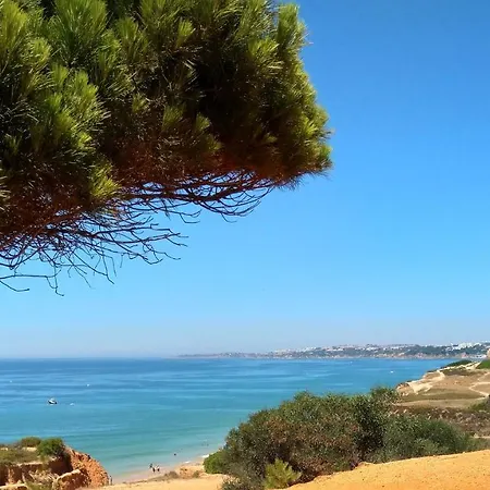 Lejlighed T2 Teze Albufeira
